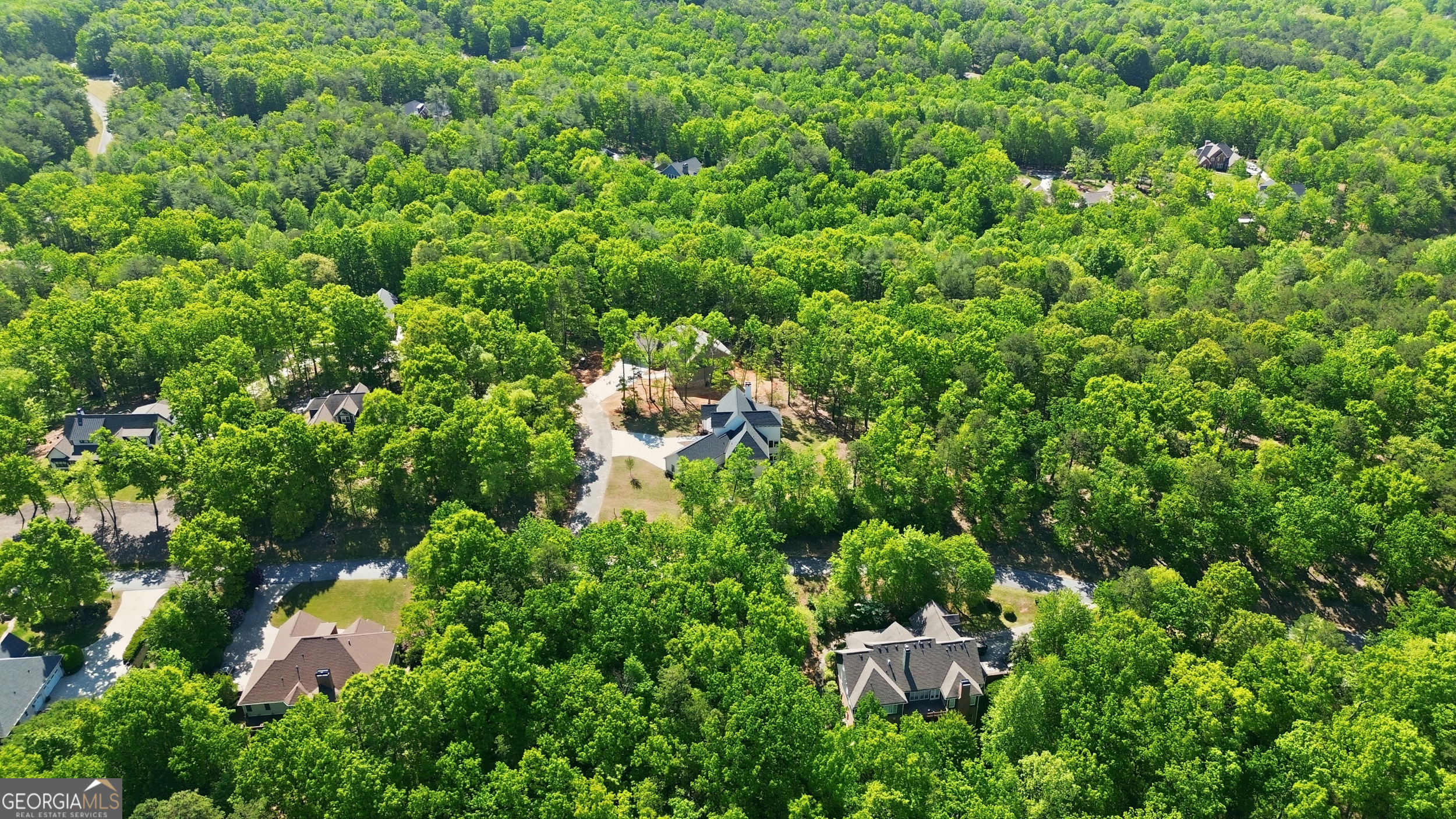 110 Fall Pippin Court Clarkesville GA 30523