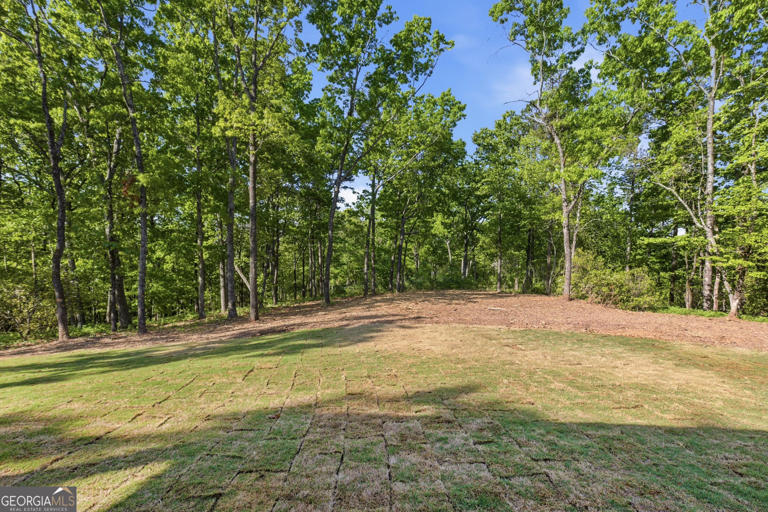 110 Fall Pippin Court Clarkesville GA 30523