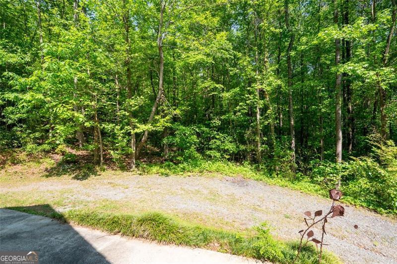 465 Willowbrook Drive Smyrna GA 30082