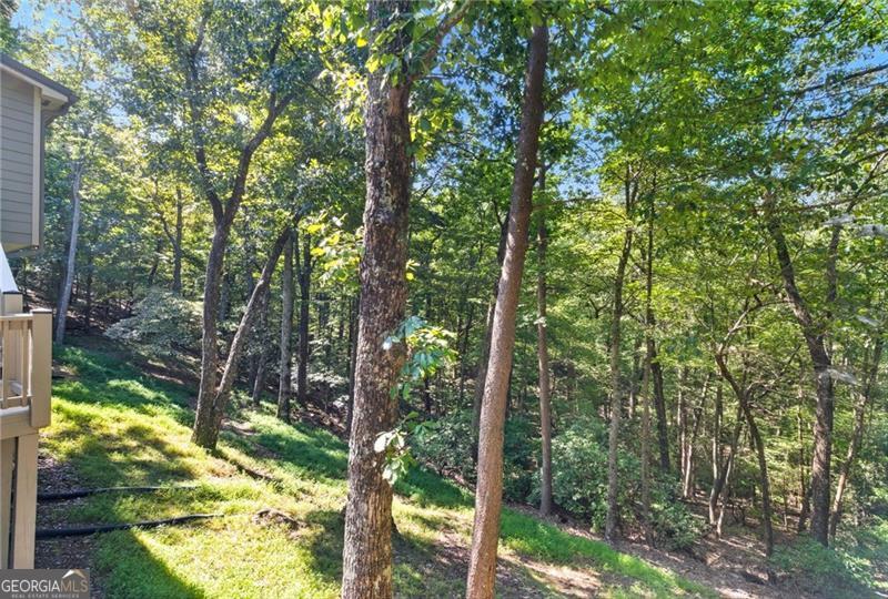 133 Cliff Fern Point Big Canoe GA 30143