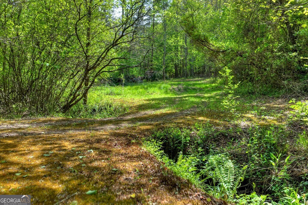 111 Candlewood Lane Blue Ridge GA 30513