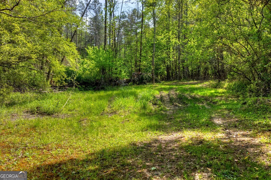 111 Candlewood Lane Blue Ridge GA 30513