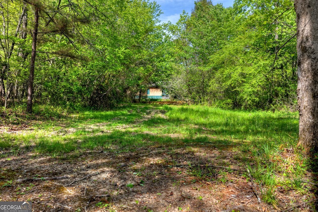 111 Candlewood Lane Blue Ridge GA 30513