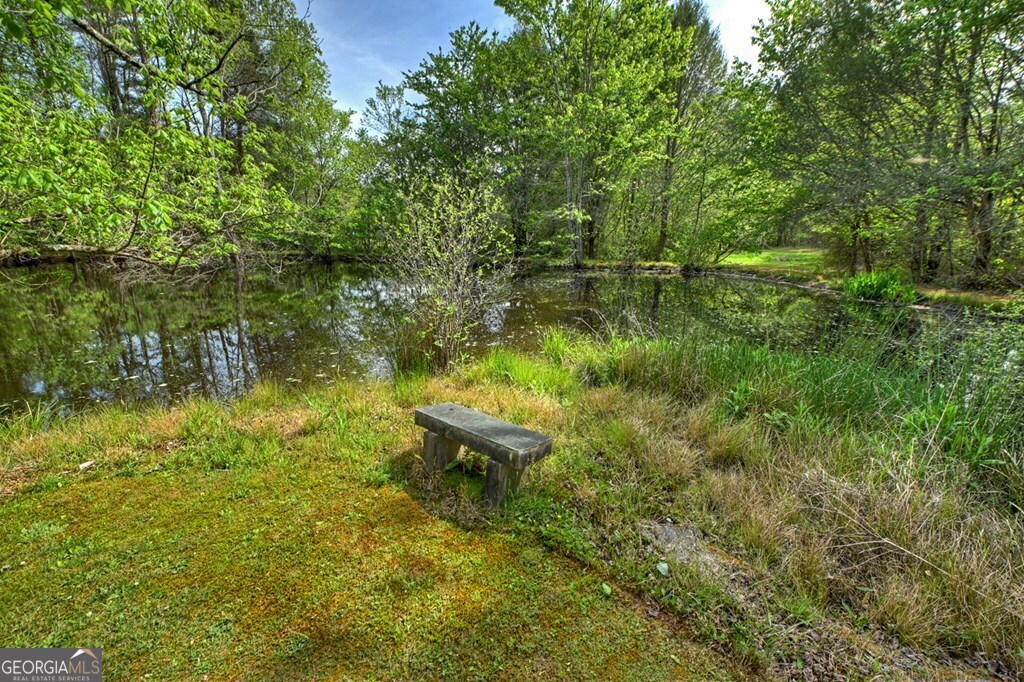 111 Candlewood Lane Blue Ridge GA 30513