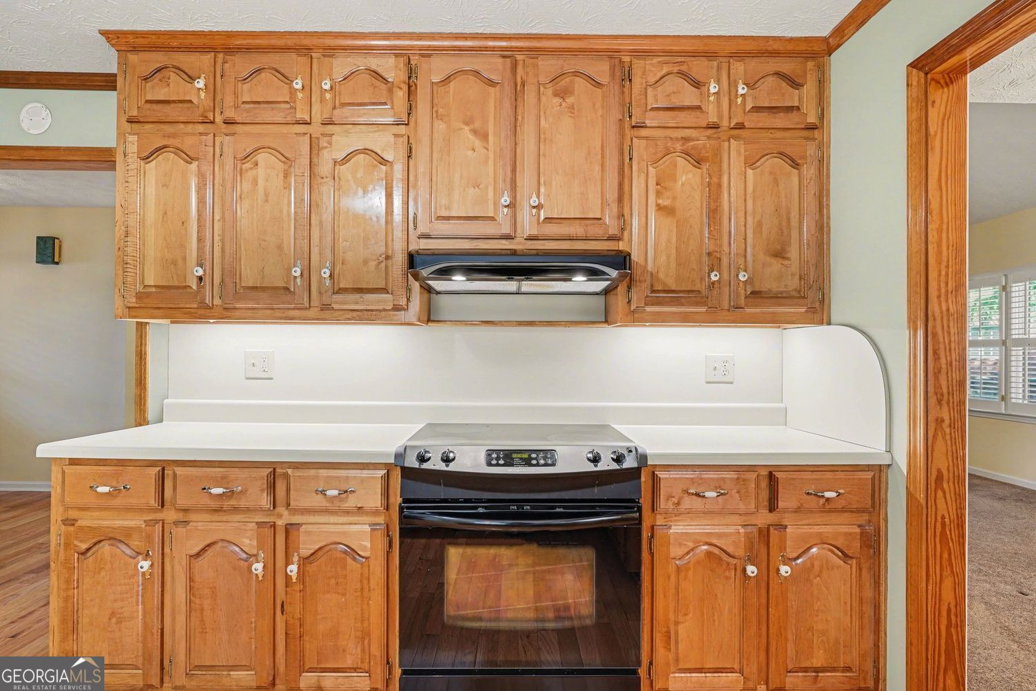 1180 Oakpark Drive Mcdonough GA 30253