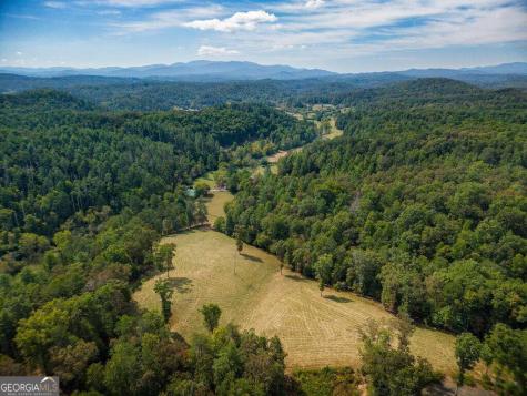 619 Youngstone Drive Mineral Bluff GA 30559