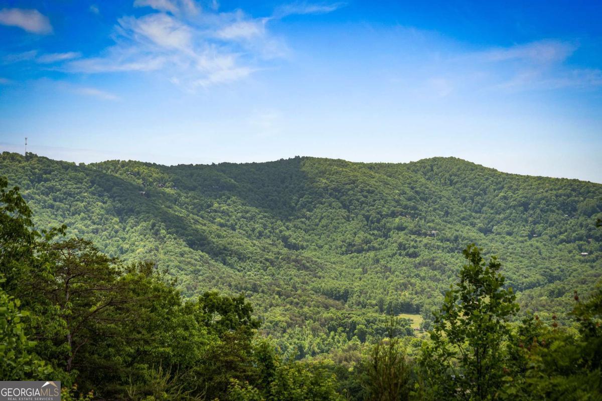 58 Overlook Way Blue Ridge GA 30513