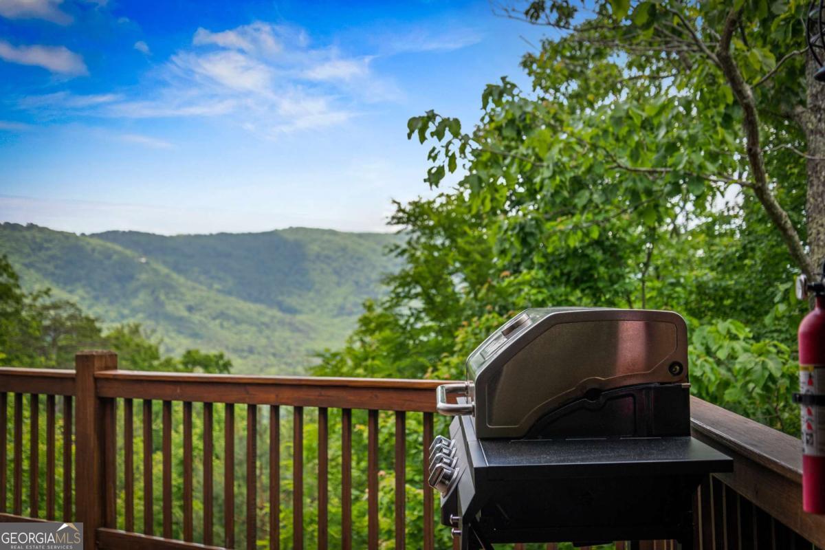 58 Overlook Way Blue Ridge GA 30513