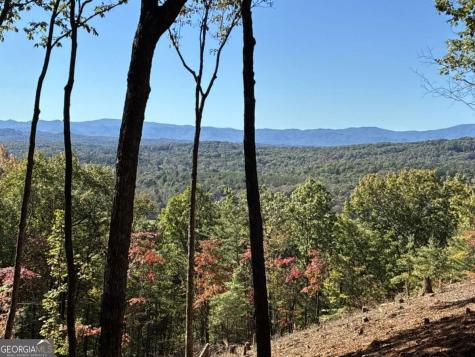 Lot 4 Hickory Hollow Mineral Bluff GA 30559
