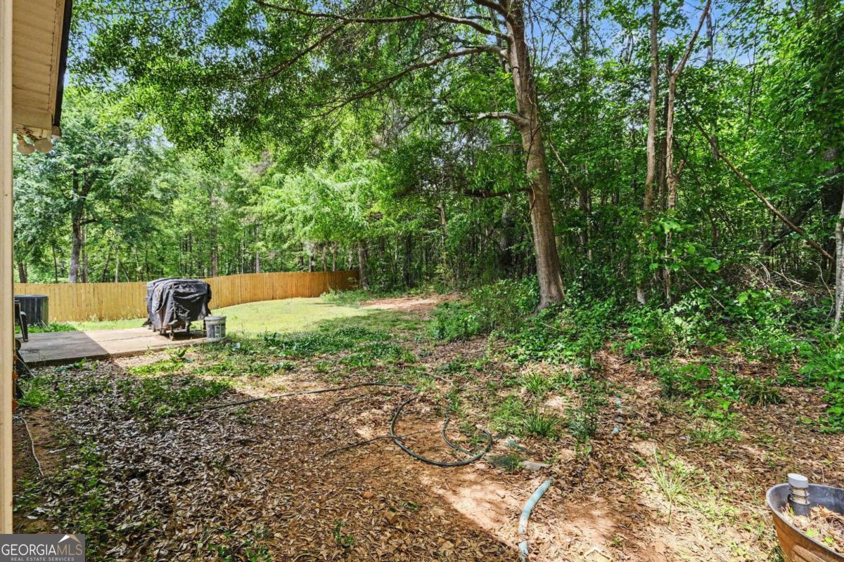 705 Slayton Drive Bethlehem GA 30620