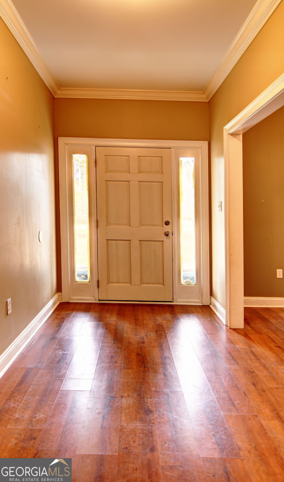 118 Foxworth Trail Nashville GA 31639