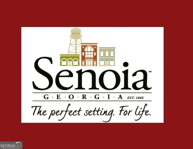 350 Werner Way Senoia GA 30276