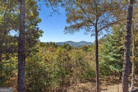 65 Knollwood Glen Mineral Bluff GA 30559