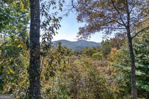 65 Knollwood Glen Mineral Bluff GA 30559