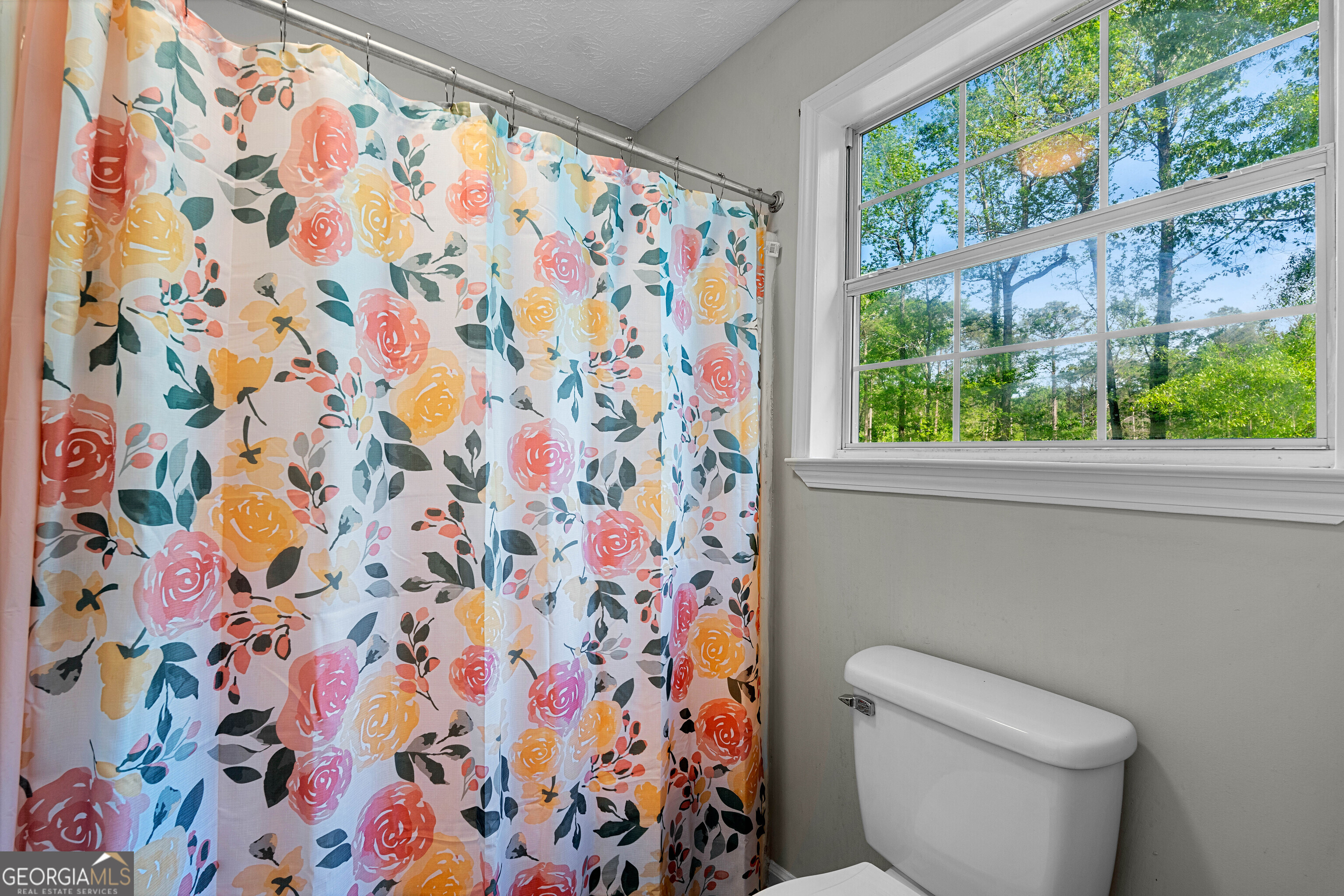 6094 Old Zebulon Road Concord GA 30206