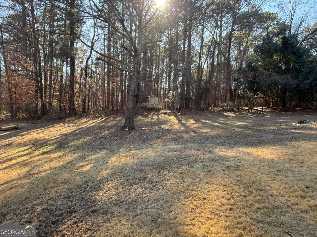 407 Shoni Lane Woodstock GA 30189