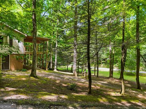 629 Goose Island Road Cherry Log GA 30522