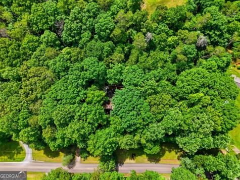 629 Goose Island Road Cherry Log GA 30522