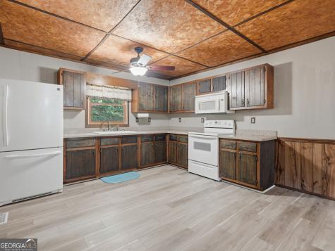 629 Goose Island Road Cherry Log GA 30522