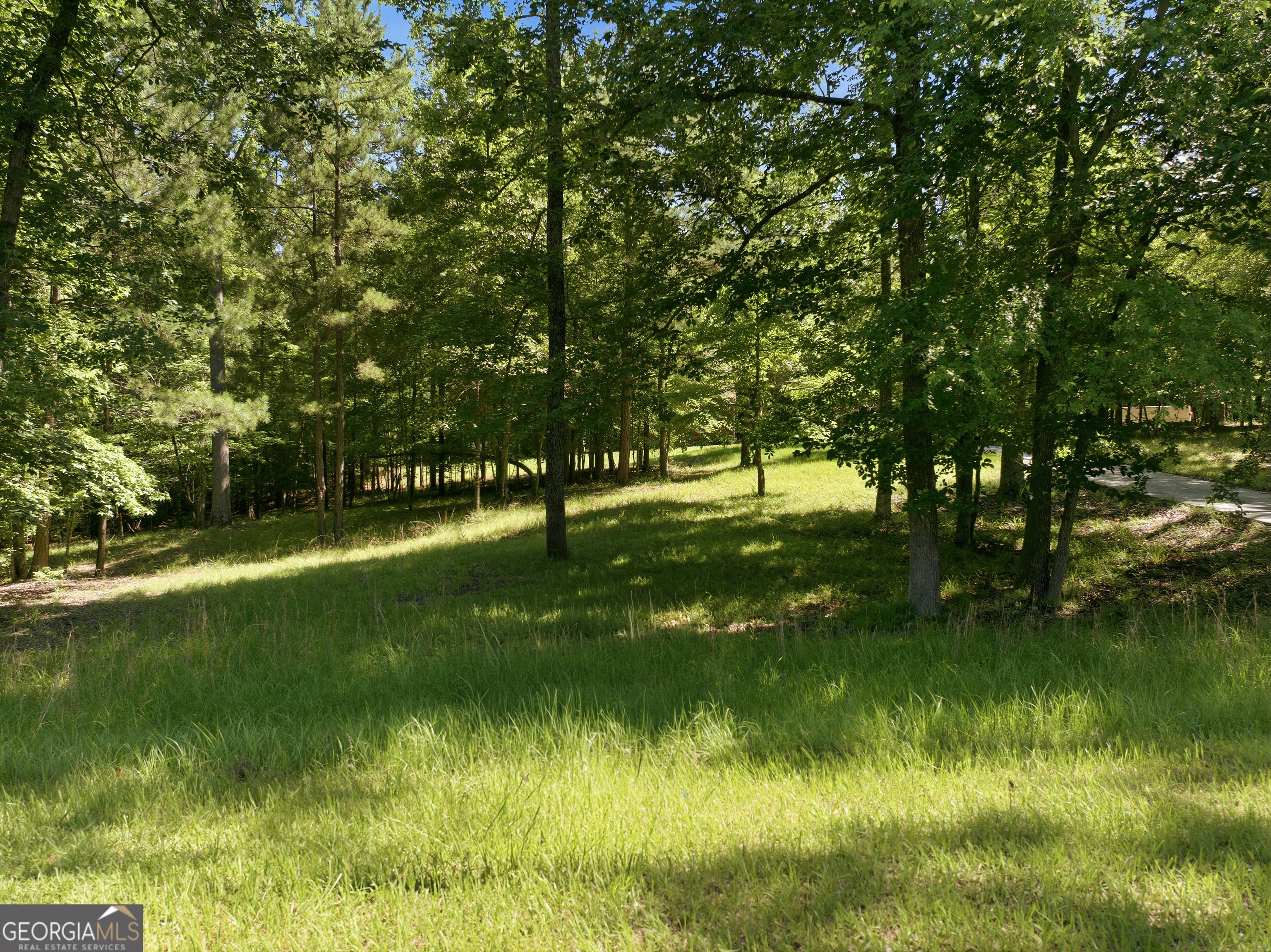 1089 N North Pointe Drive Tignall GA 30668
