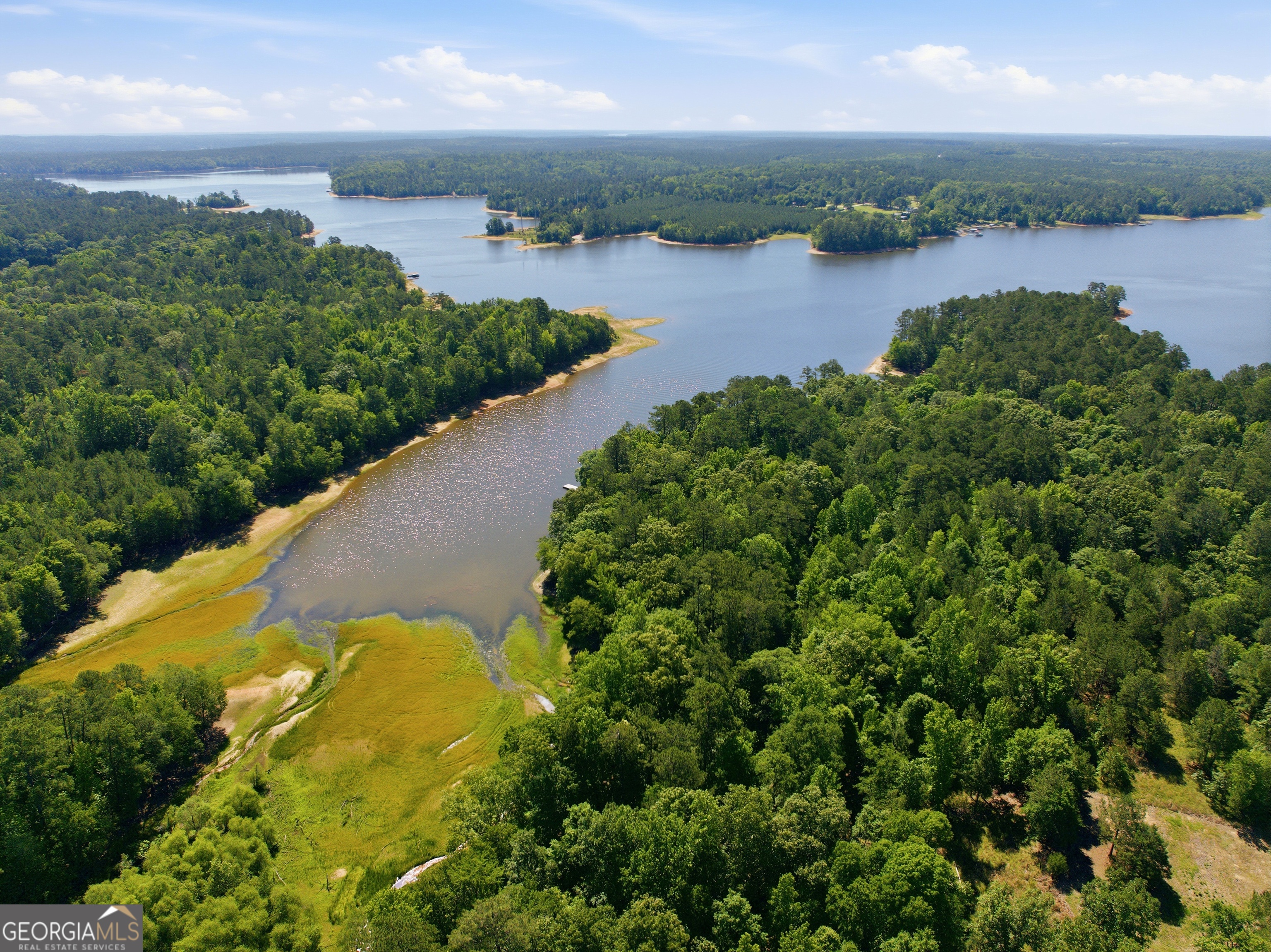 1089 N North Pointe Drive Tignall GA 30668