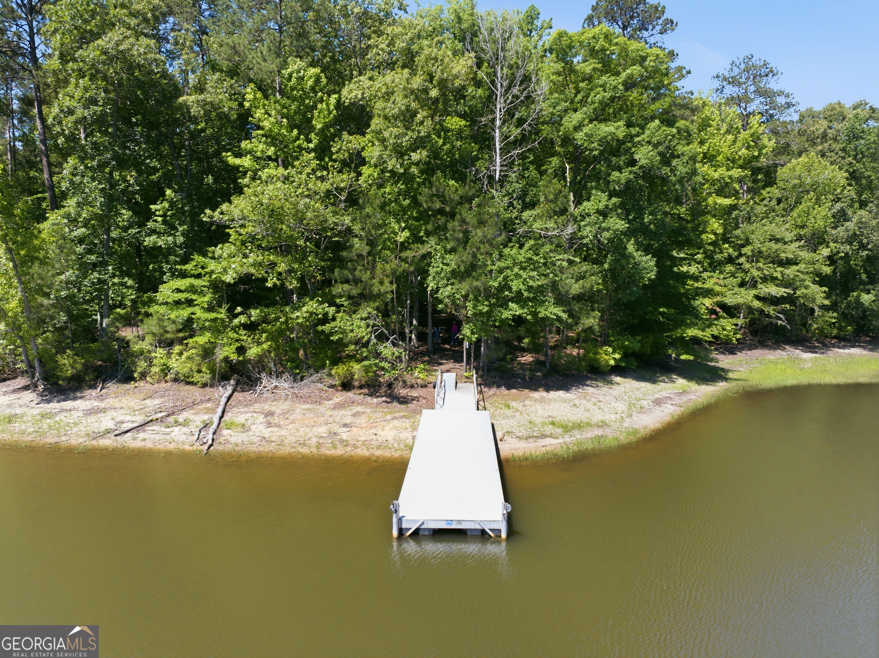 1089 N North Pointe Drive Tignall GA 30668