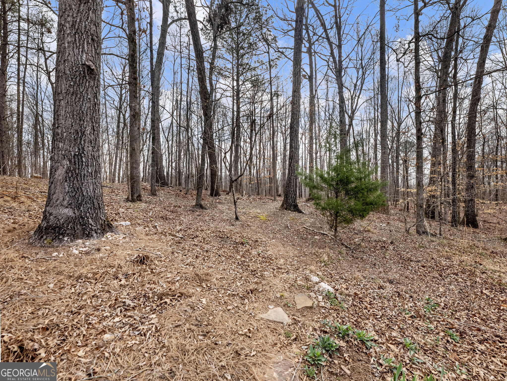 6147 Golf View Court Jefferson GA 30549