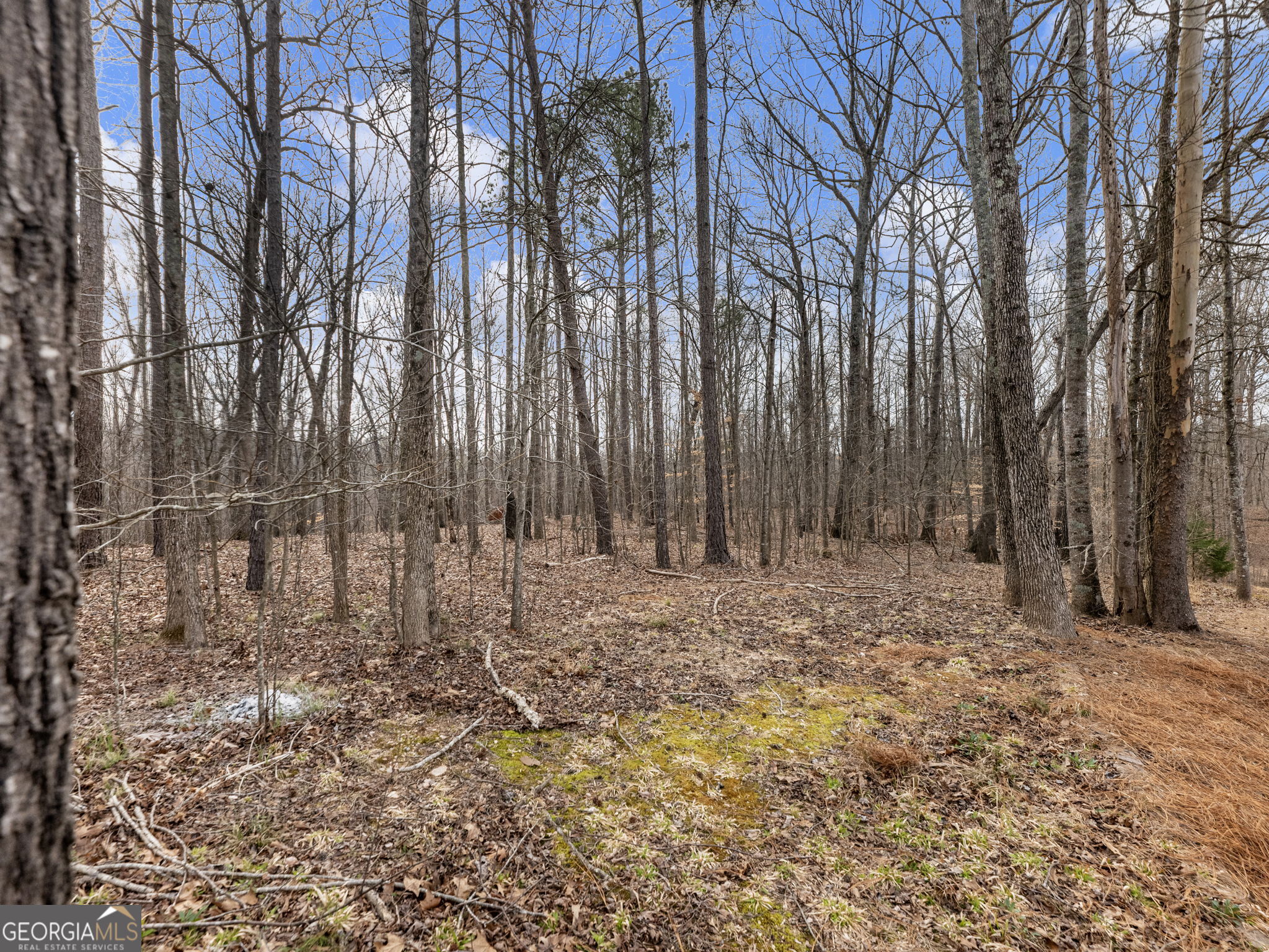 6147 Golf View Court Jefferson GA 30549