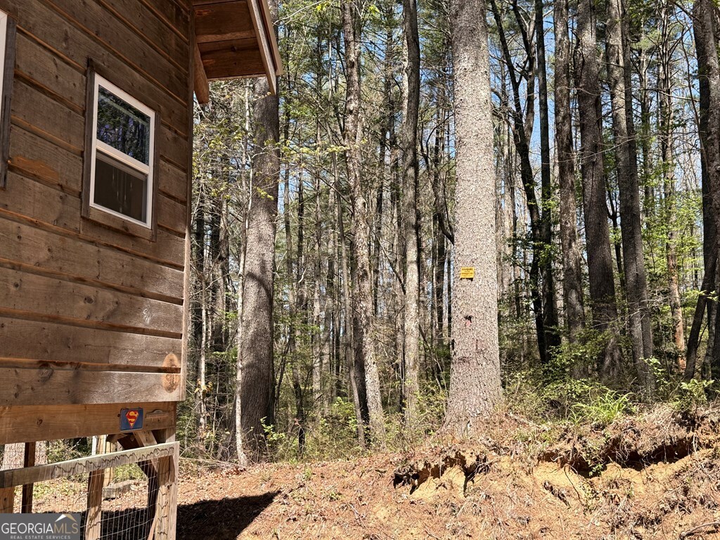 306 Jacks River Road Epworth GA 30541