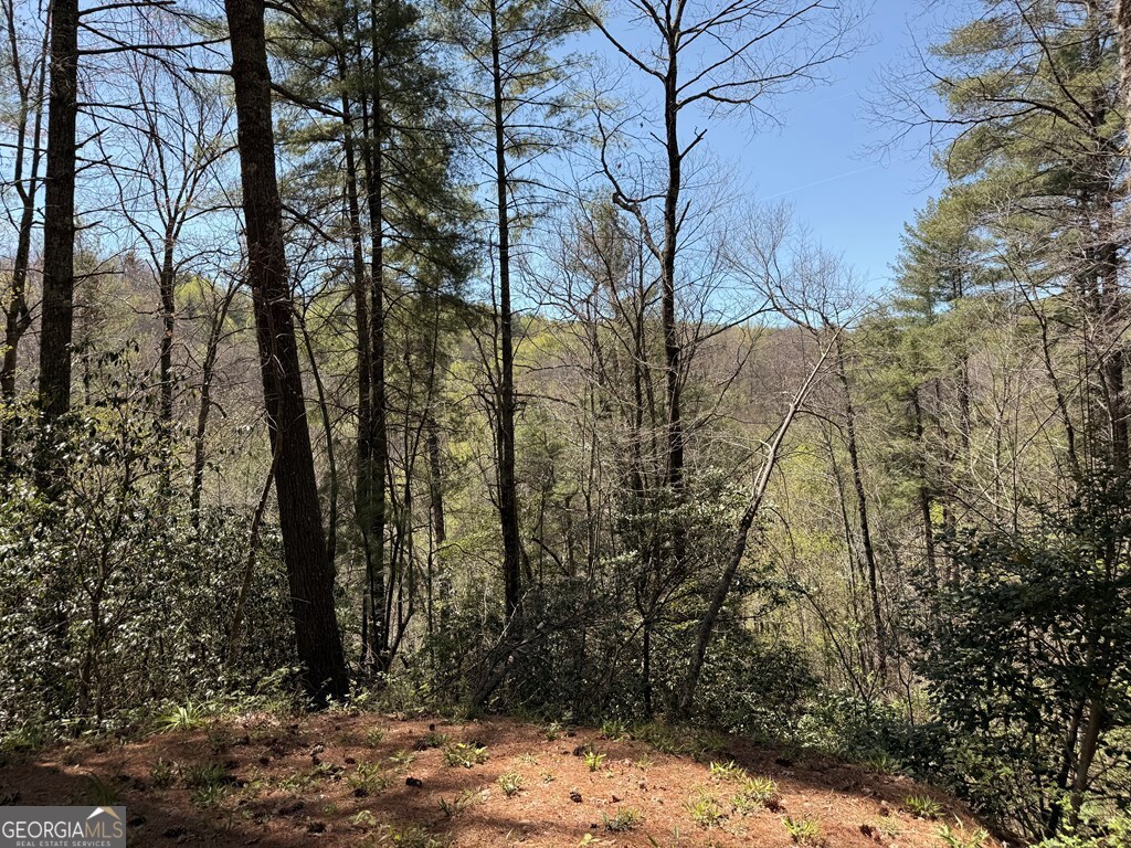 306 Jacks River Road Epworth GA 30541