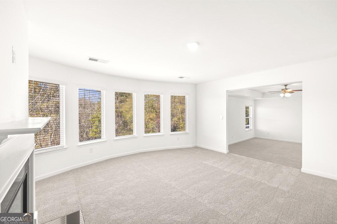 1625 Bernard Court Hampton GA 30228