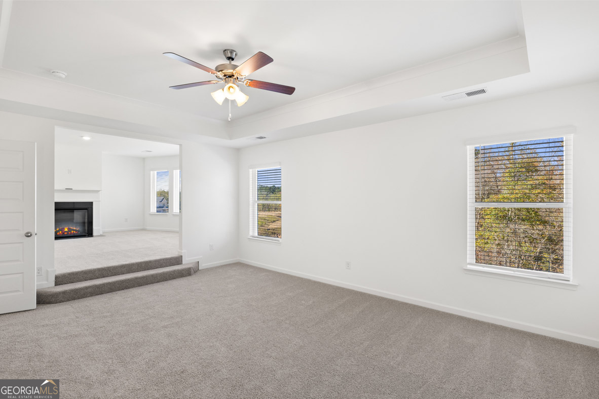1625 Bernard Court Hampton GA 30228