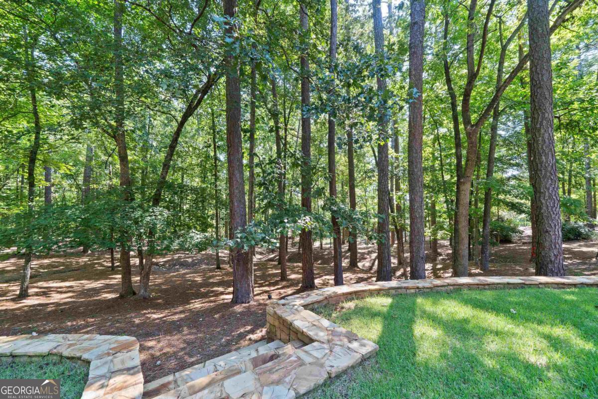 1071 Eaglewood Way Greensboro GA 30642
