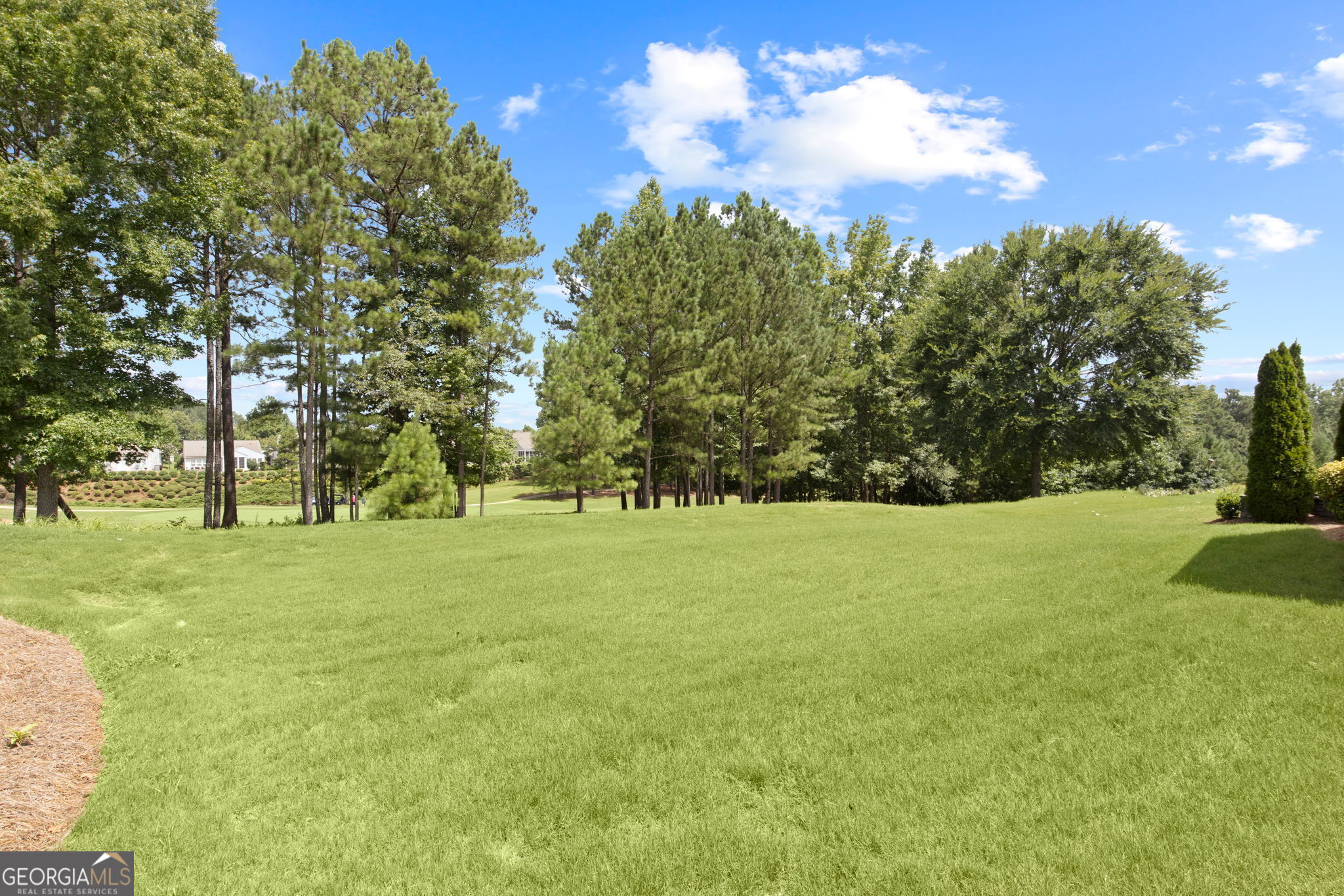 810 Dusky Sap Court Griffin GA 30223