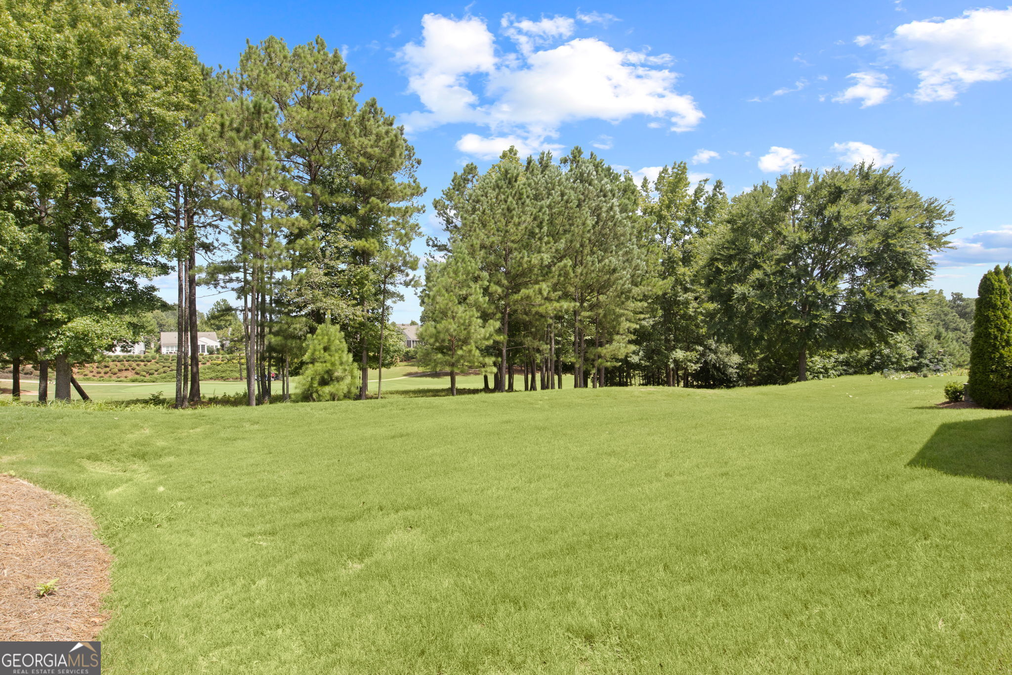 810 Dusky Sap Court Griffin GA 30223