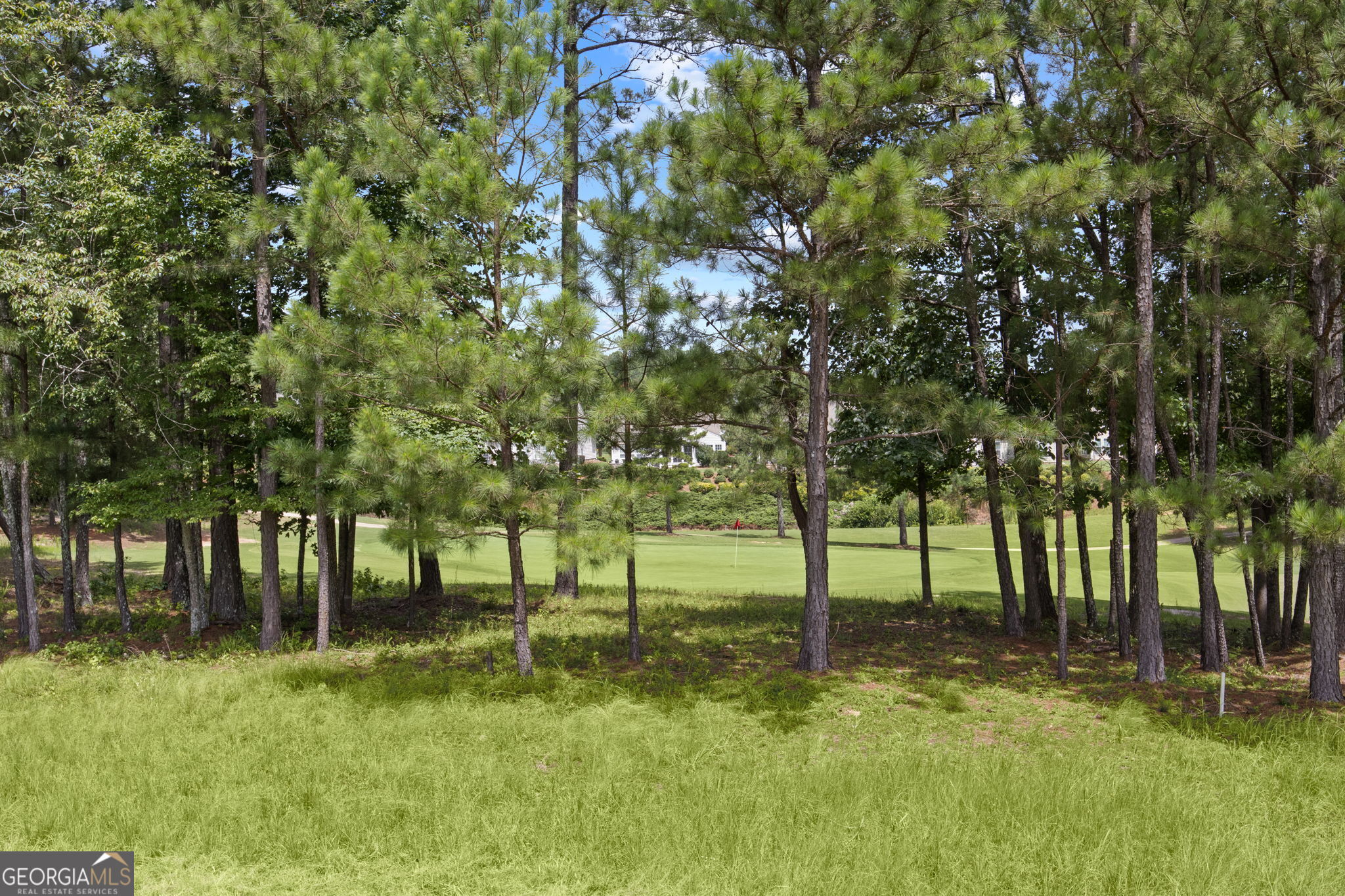810 Dusky Sap Court Griffin GA 30223