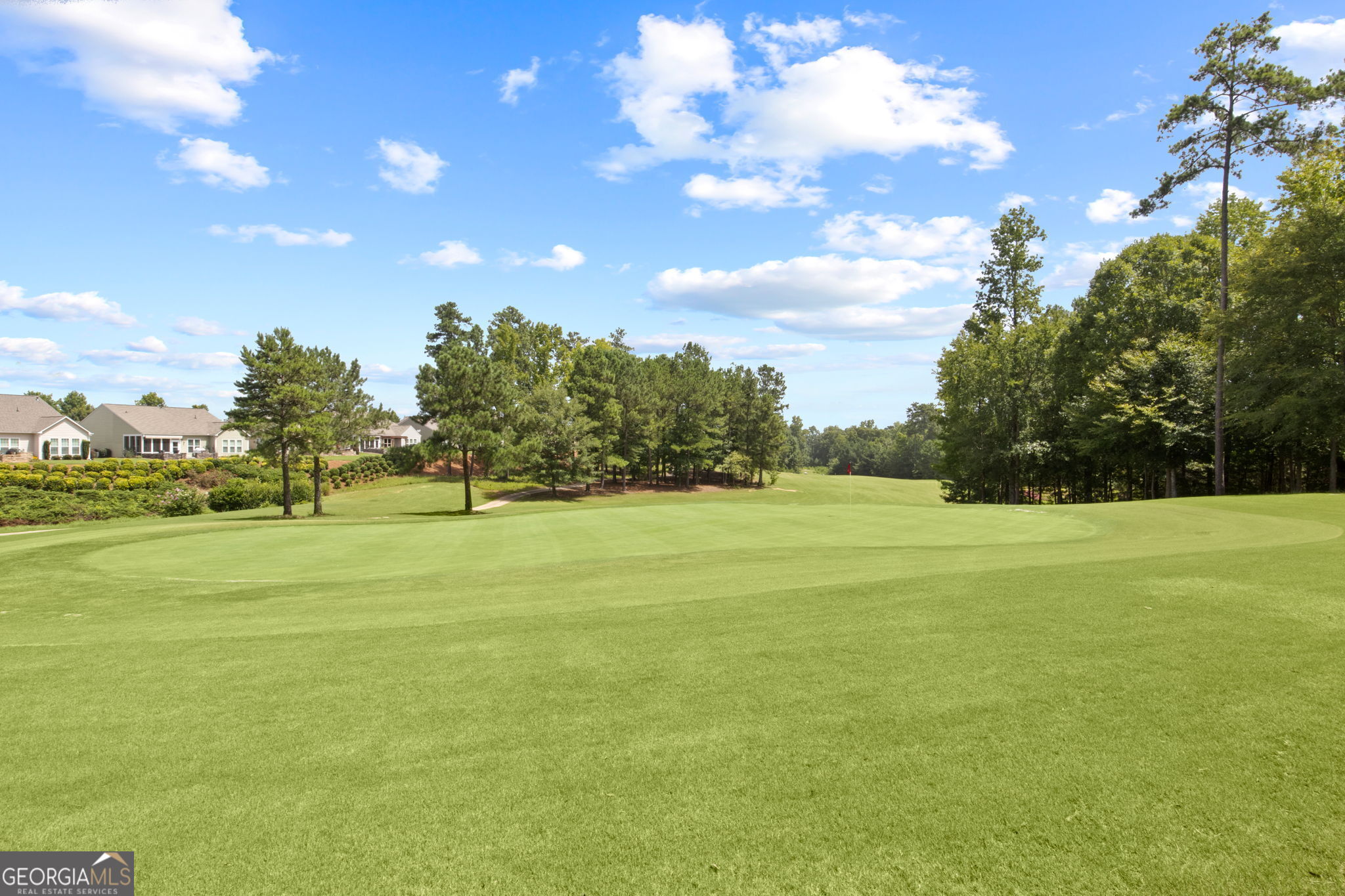 810 Dusky Sap Court Griffin GA 30223