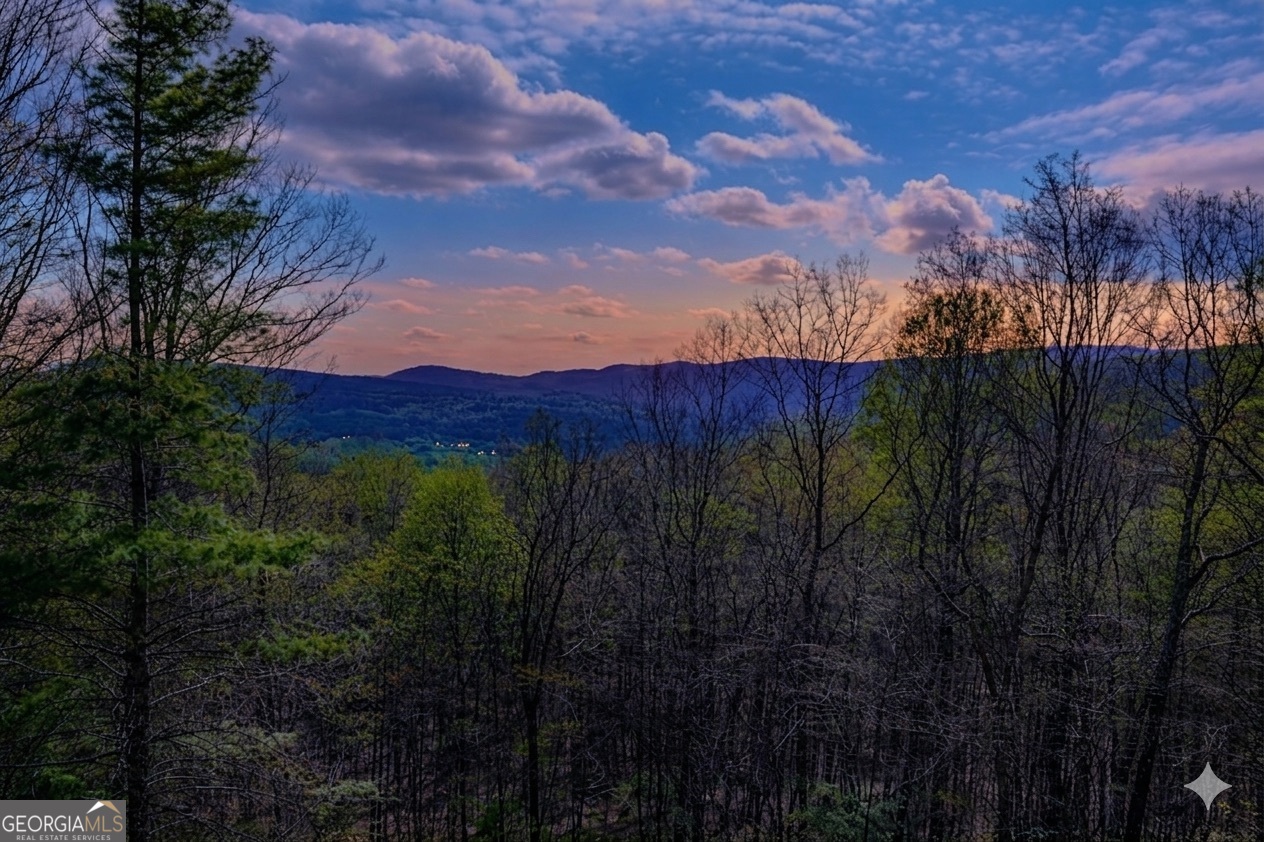 156 Sky High Drive Ellijay GA 30536