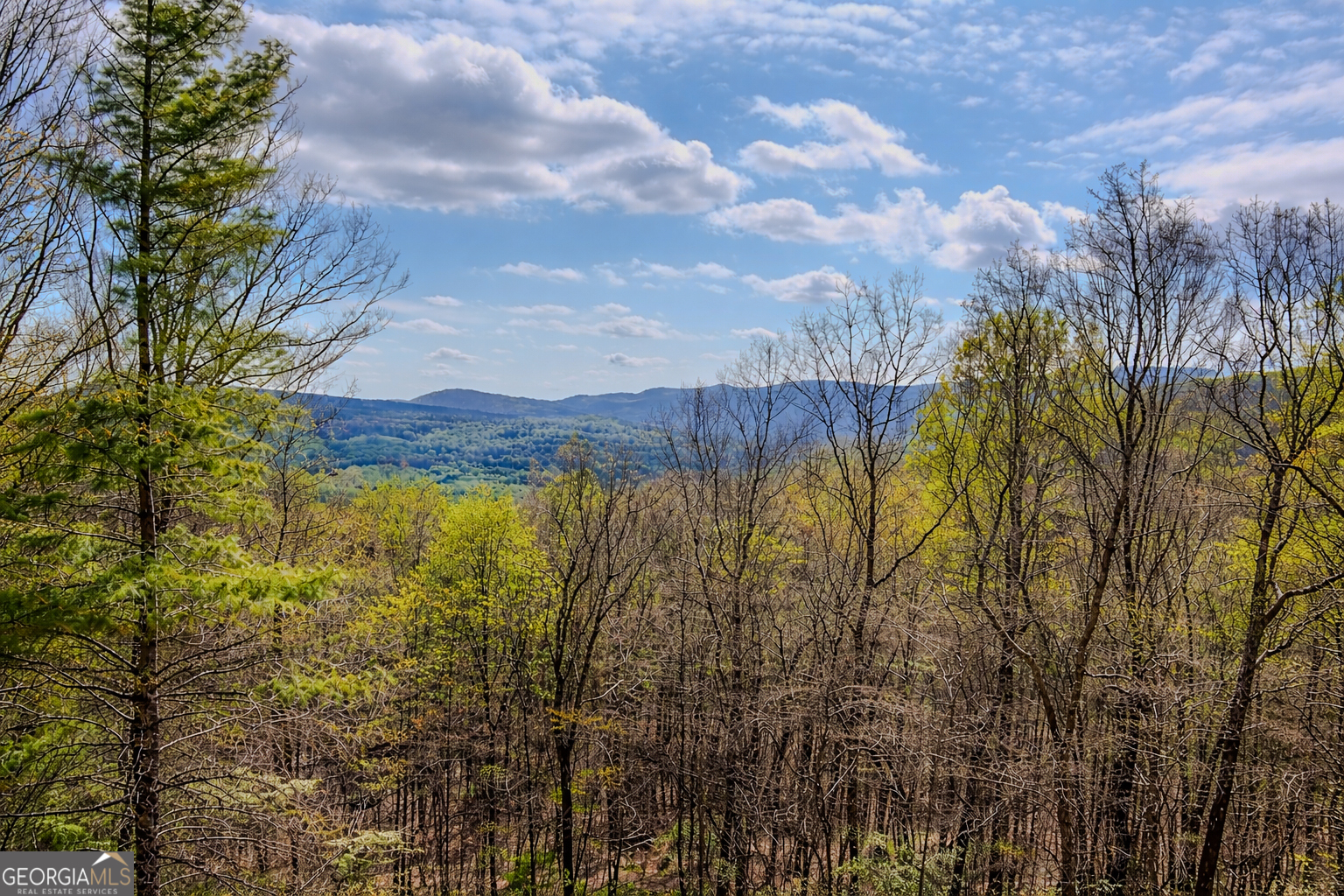 156 Sky High Drive Ellijay GA 30536