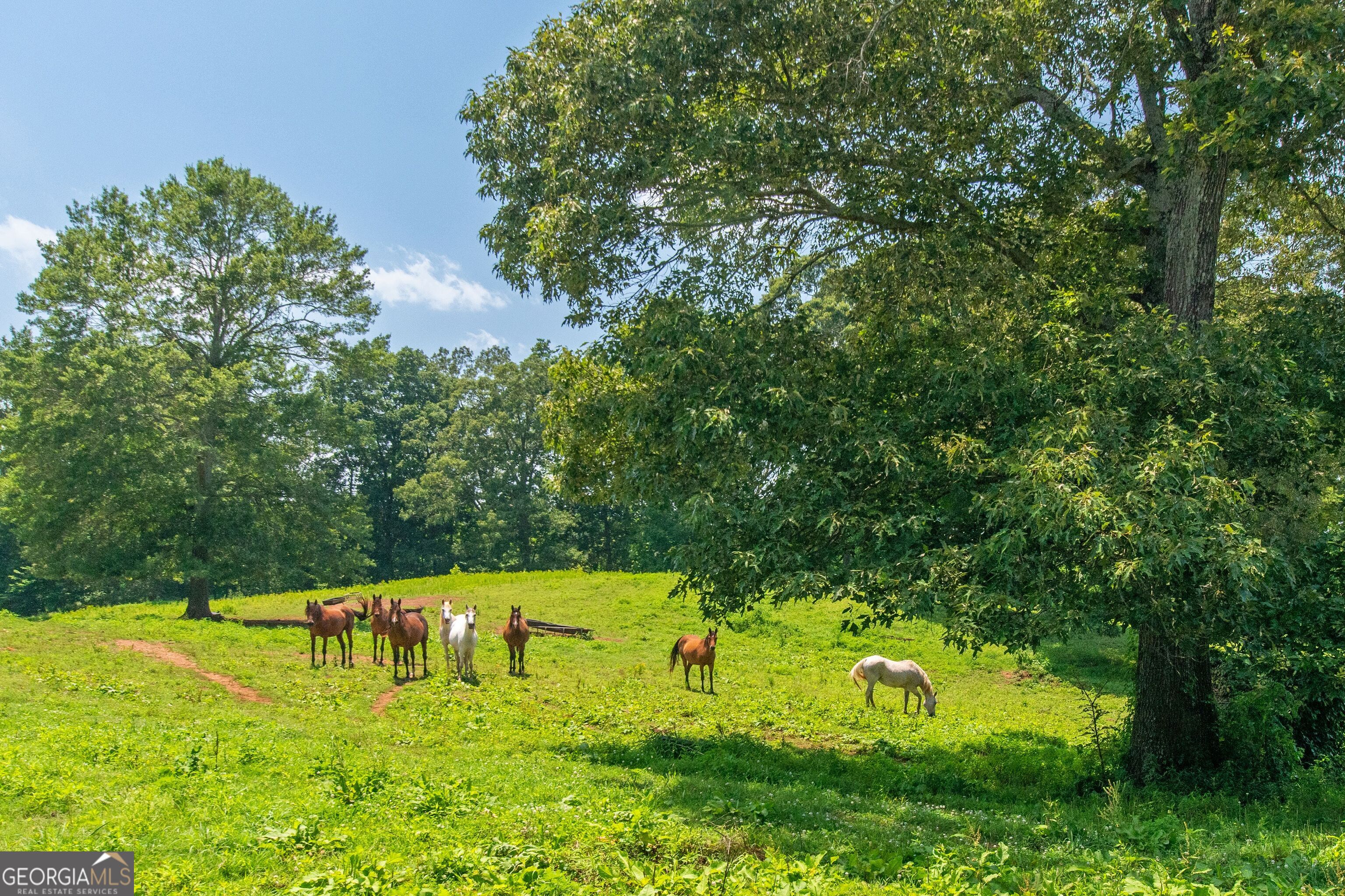 1358 W 5 Highway Roopville GA 30170