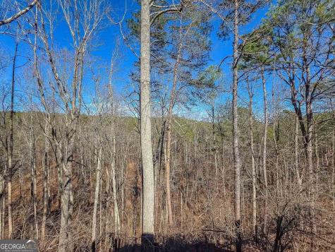 165 Horseshoe Bend Jasper GA 30143
