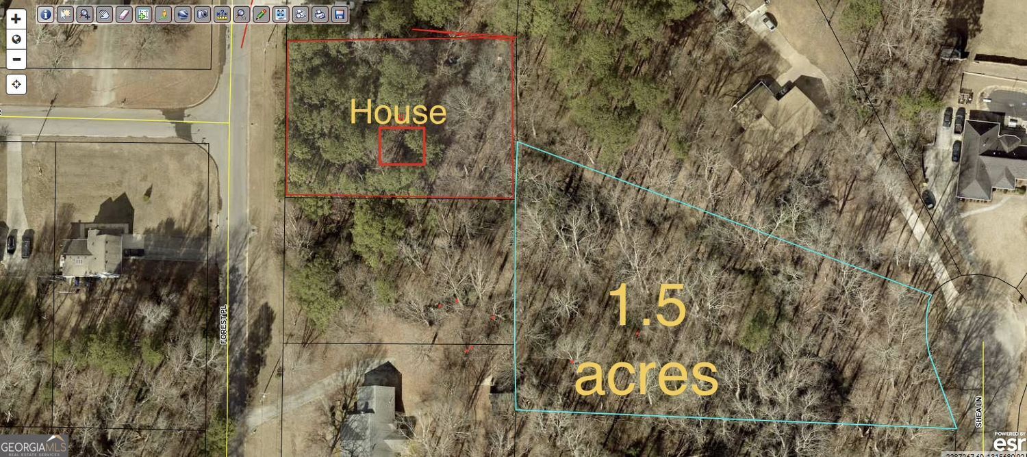 131 Forest Place Stockbridge GA 30281