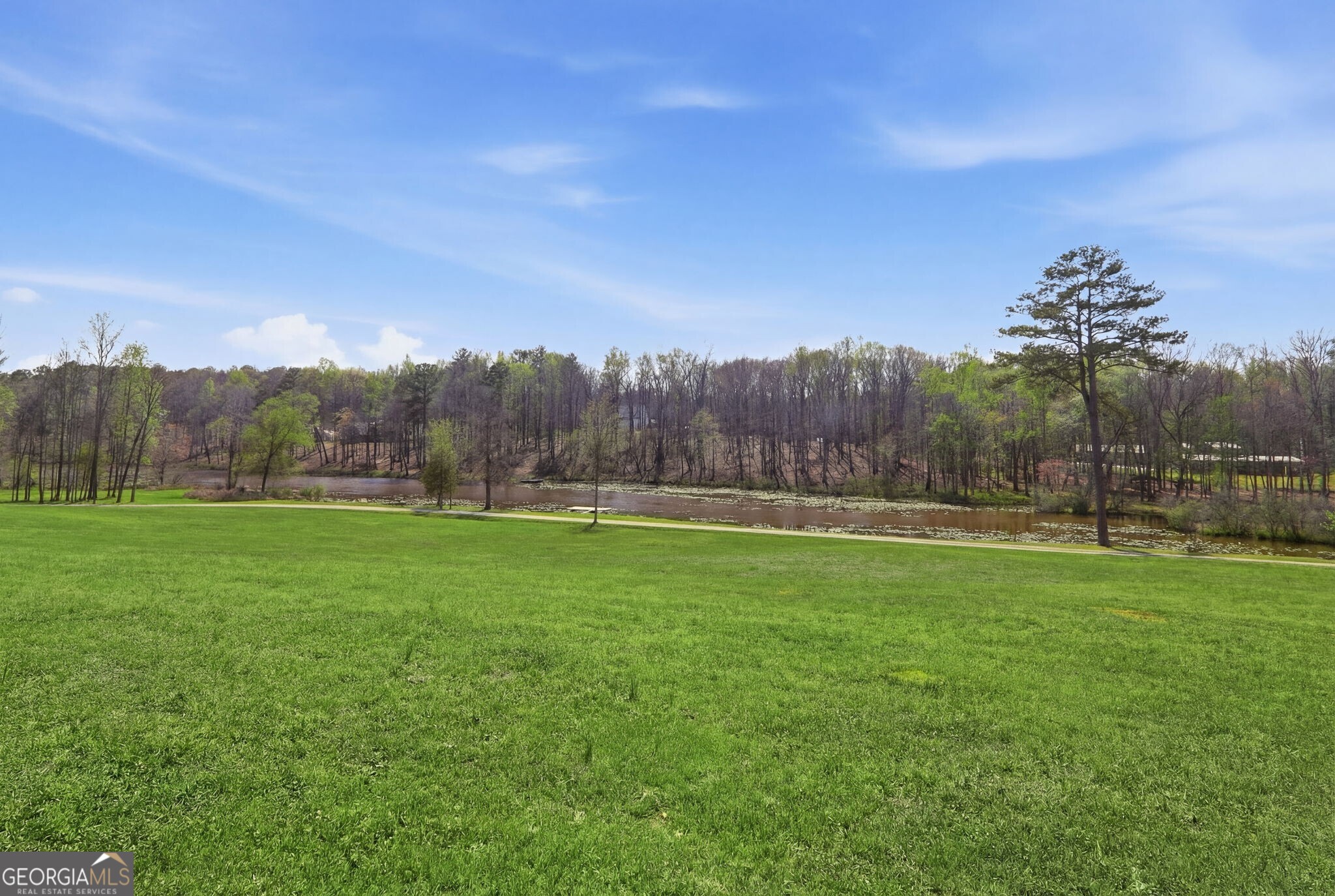 1505 Elders Mill Road Senoia GA 30276