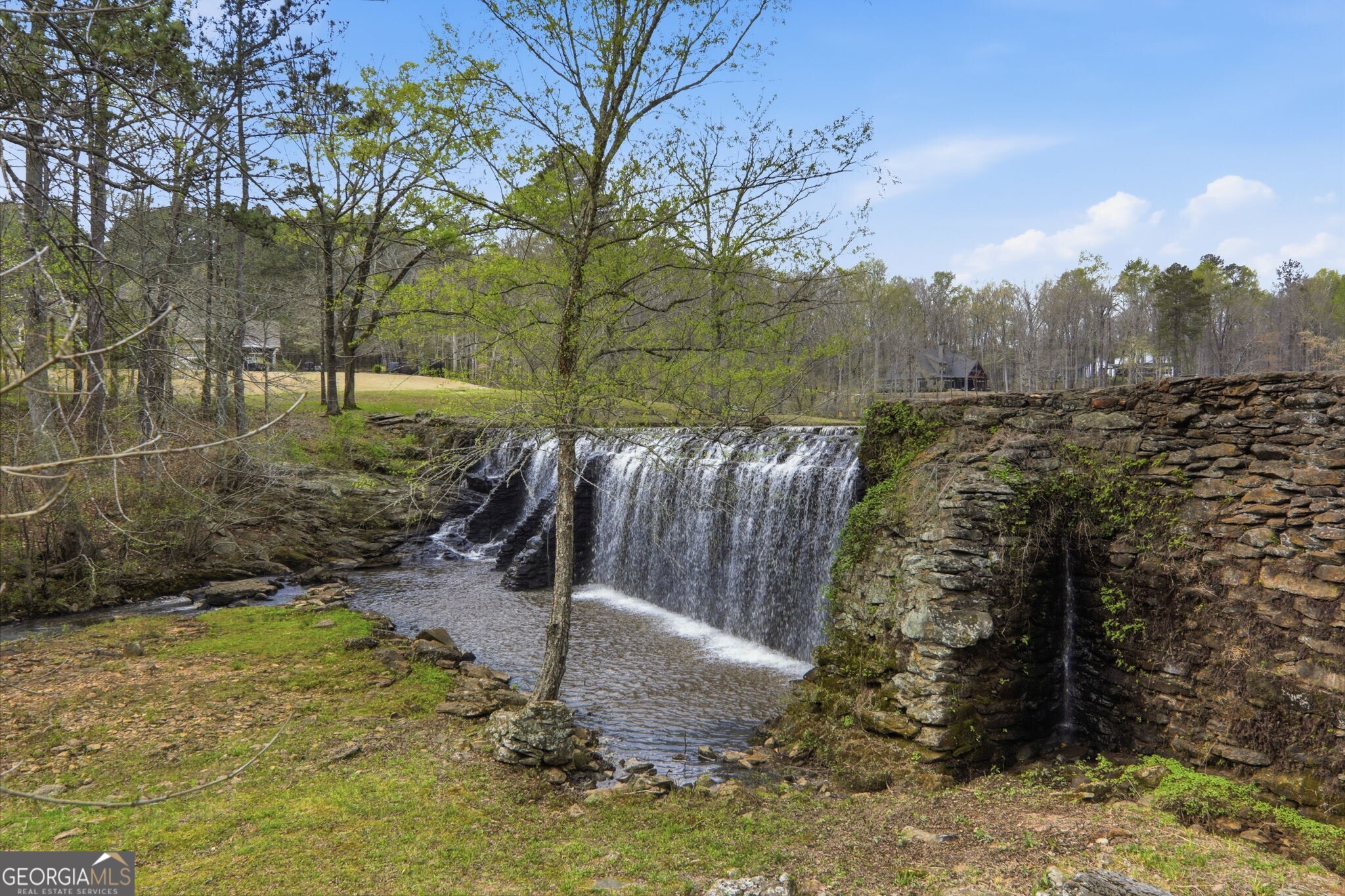 1505 Elders Mill Road Senoia GA 30276