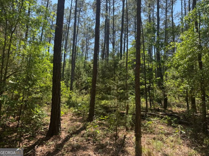 4008 Horseshoe Road Dawson GA 39842