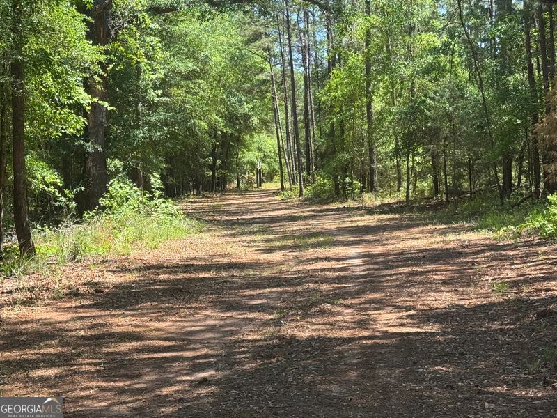 4008 Horseshoe Road Dawson GA 39842