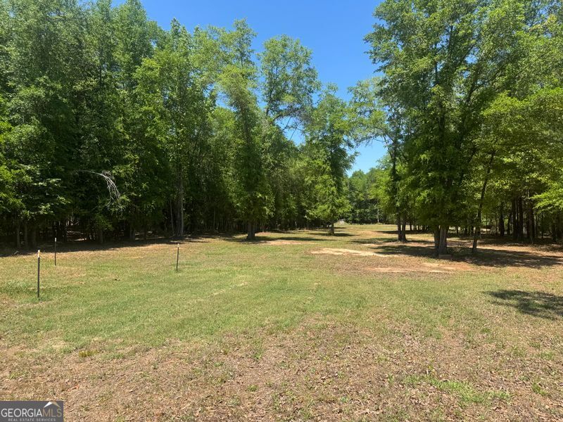 4008 Horseshoe Road Dawson GA 39842