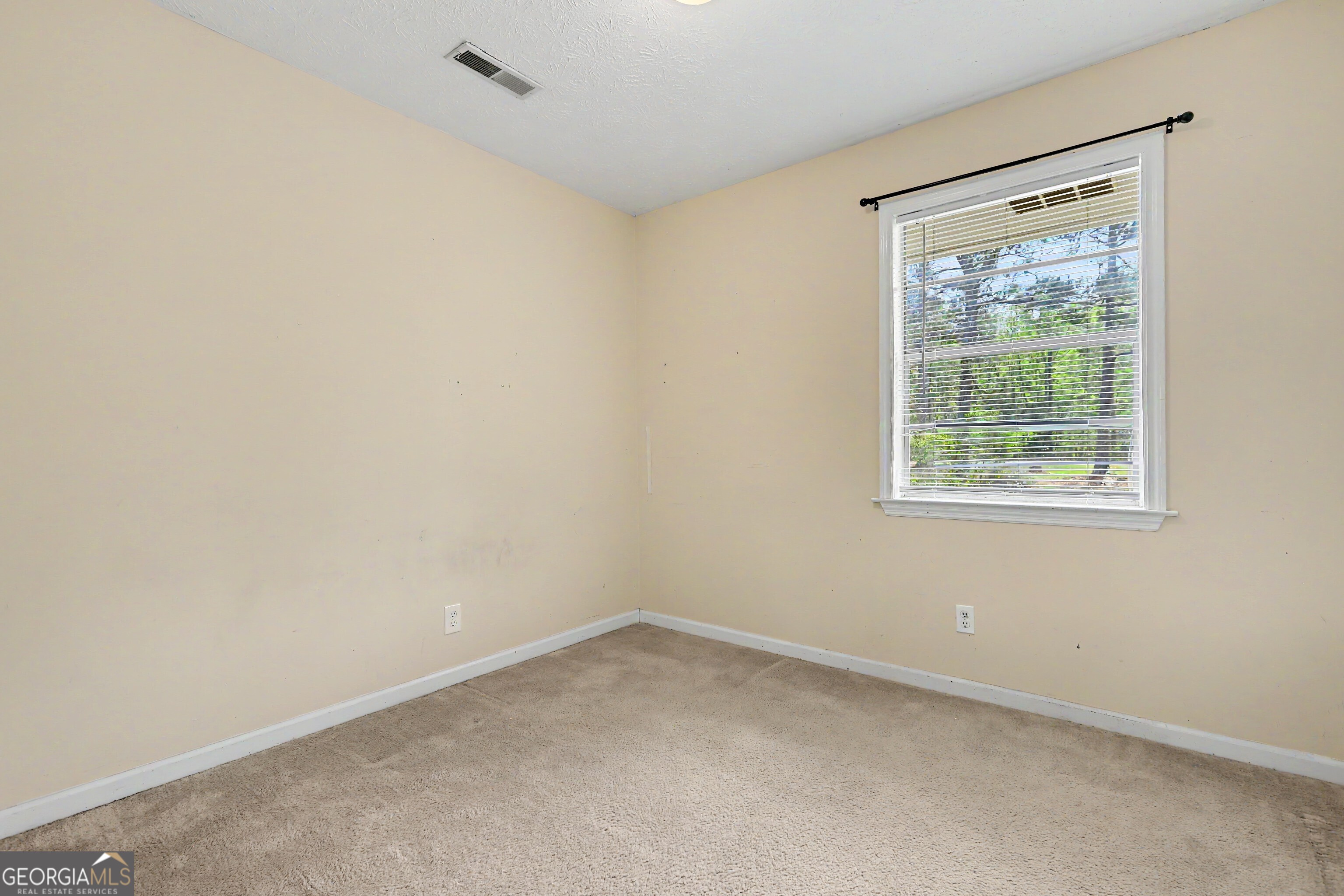 104 Mcintosh Trail Sharpsburg GA 30277