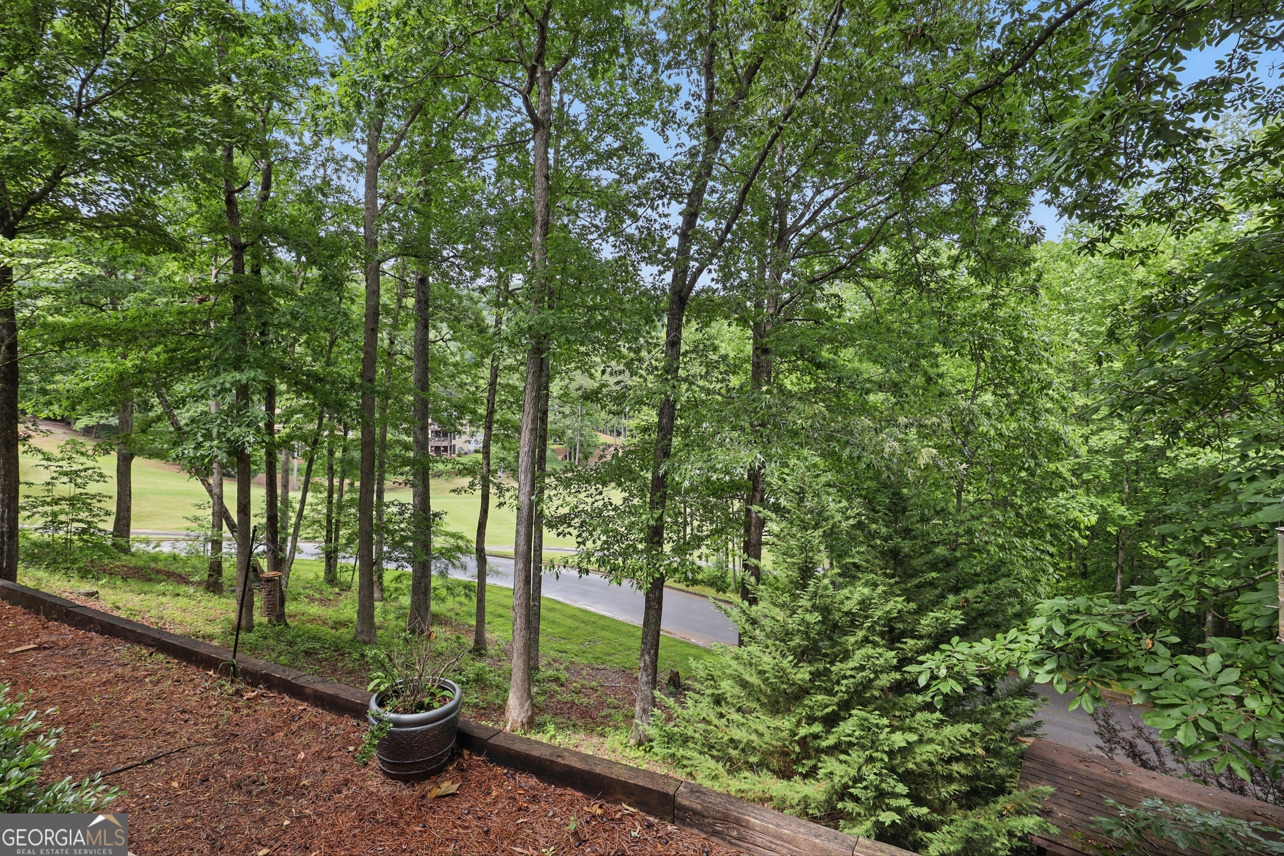 251 Shakespeare Drive Clayton GA 30525