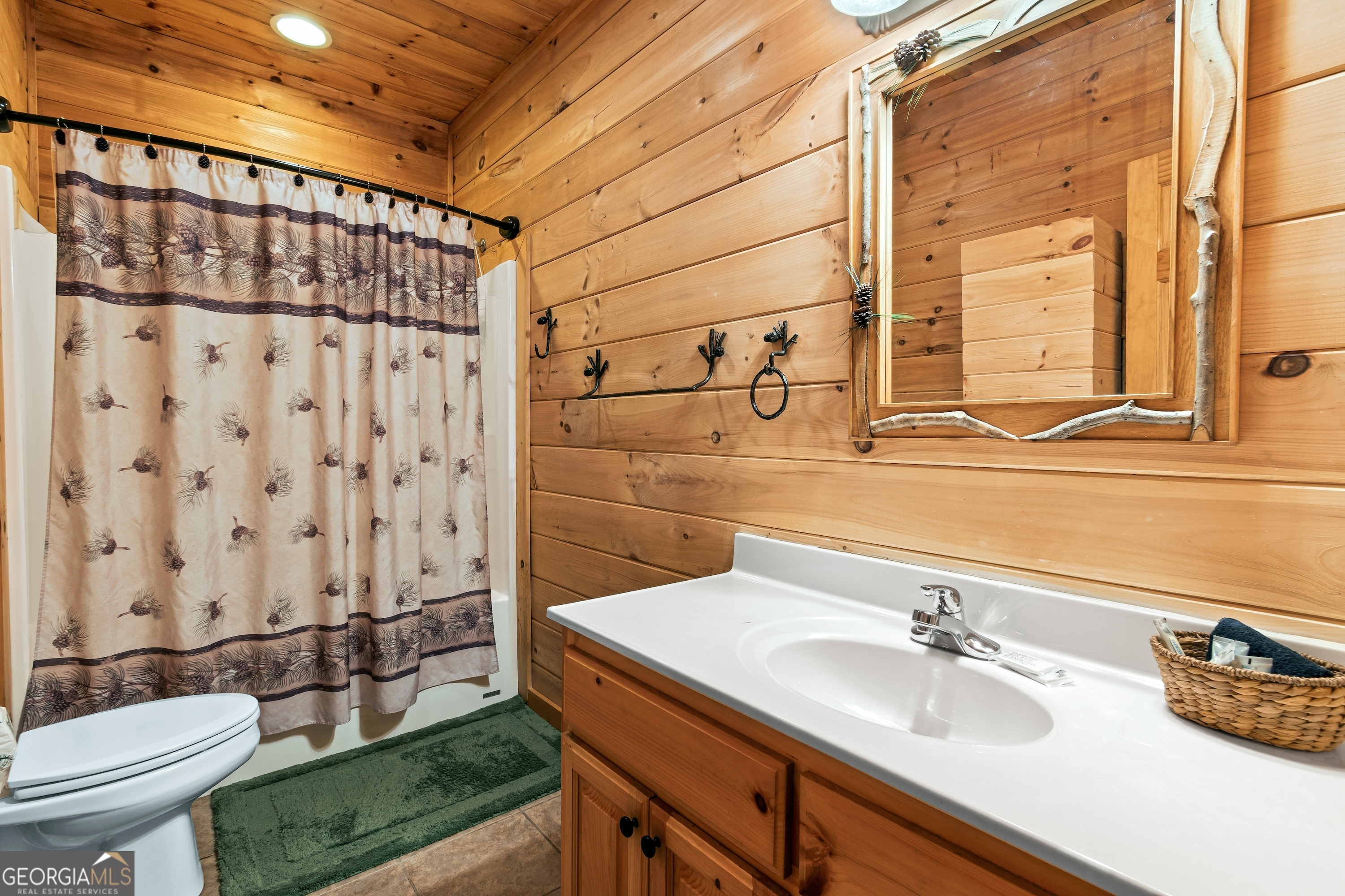 850 Mountain Lake Circle Blue Ridge GA 30513